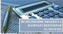 Контрольно-счетной палатой Камчатского края подготовлено заключение на отчет об исполнении краевого бюджета за 2024 год