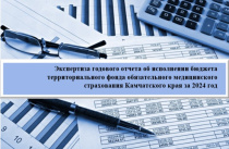 Коллегией Контрольно-счетной палаты Камчатского края подведены итоги исполнения бюджета территориального фонда обязательного медицинского страхования Камчатского края за 2024 год 