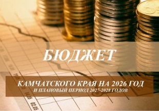 Экспертиза проектов законов о краевом бюджете и о бюджете территориального фонда обязательного медицинского страхования на ближайшие три года